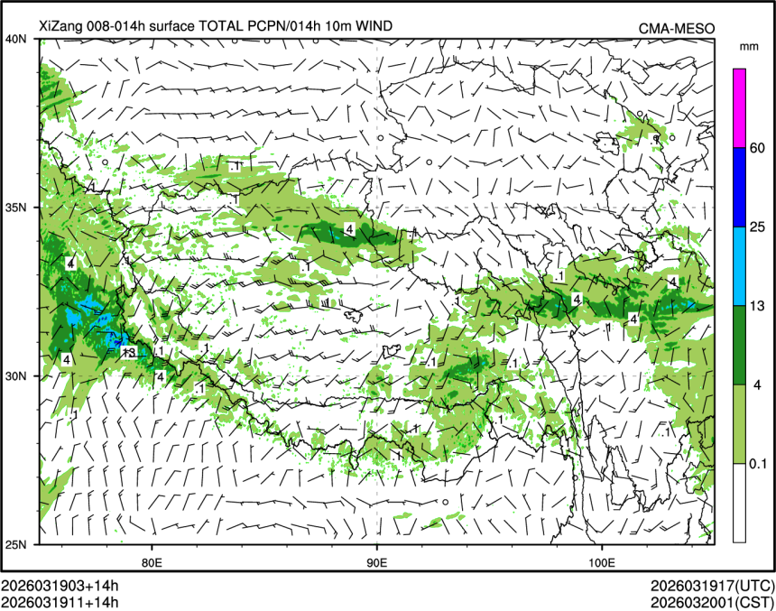 03/19 11时 +014小时