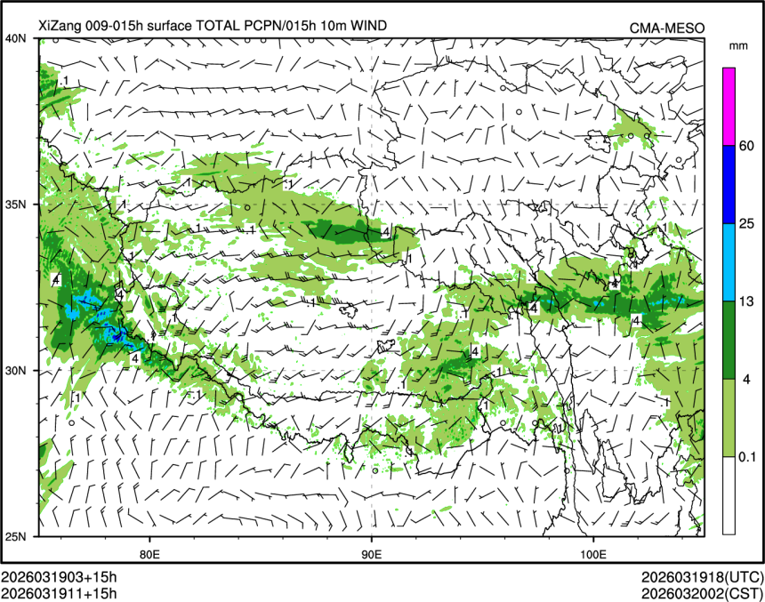 03/19 11时 +015小时