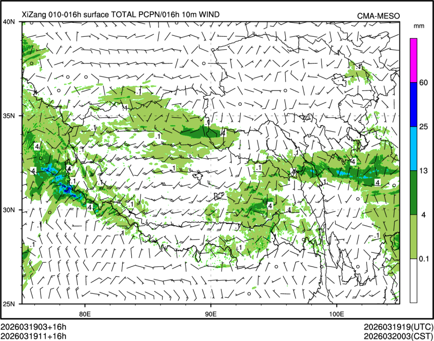03/19 11时 +016小时