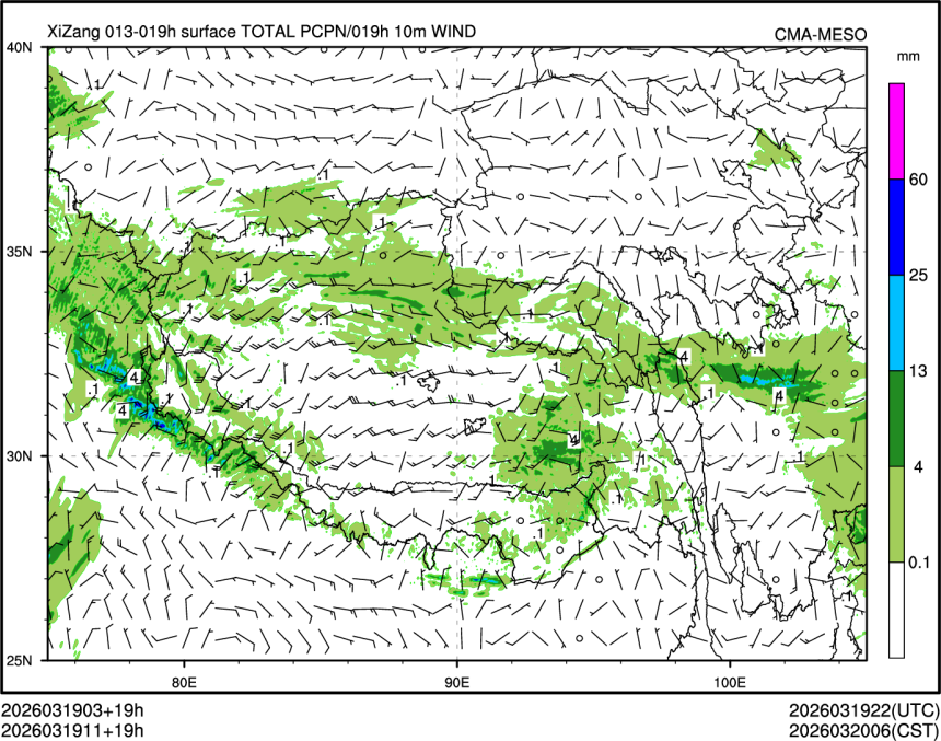 03/19 11时 +019小时