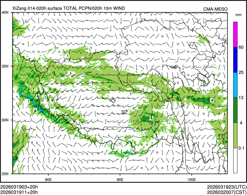 03/19 11时 +020小时