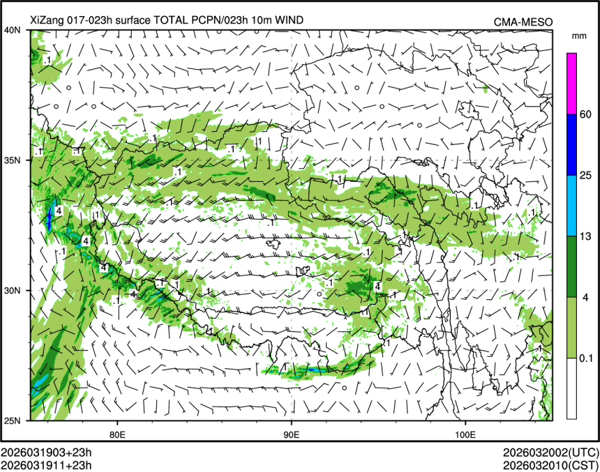 03/19 11时 +023小时