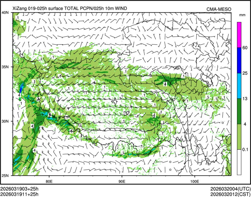 03/19 11时 +025小时