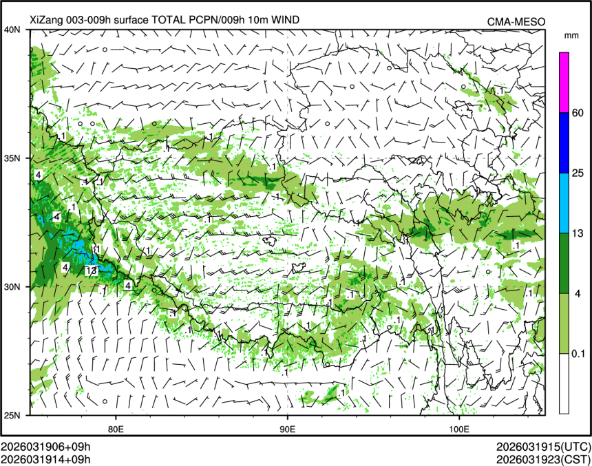 03/19 14时 +009小时