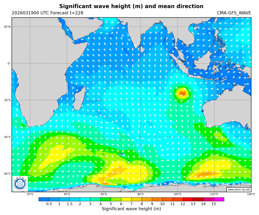 03/19 08时 +228小时