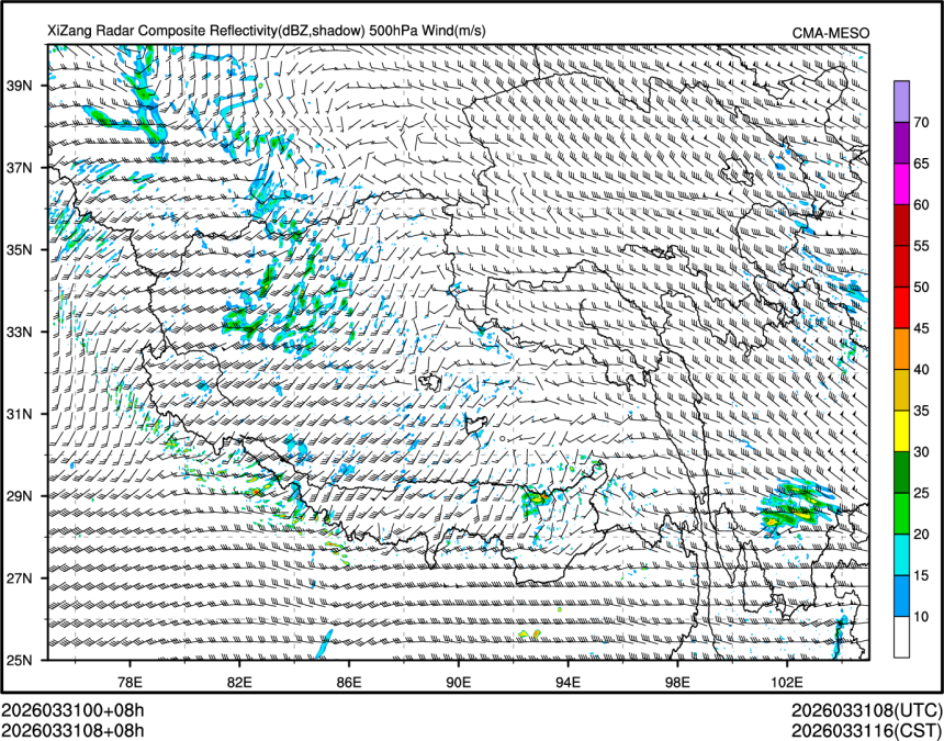 03/31 08时 +008小时