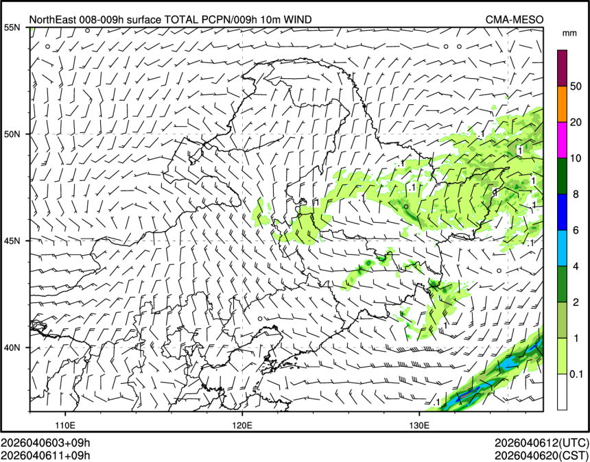 04/06 11时 +009小时