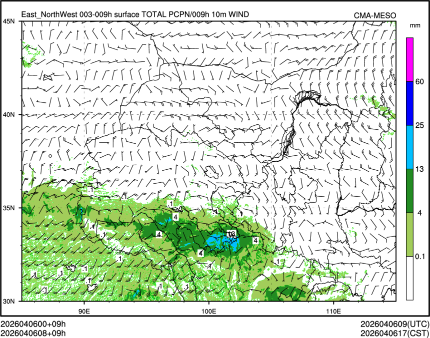 04/06 08时 +009小时