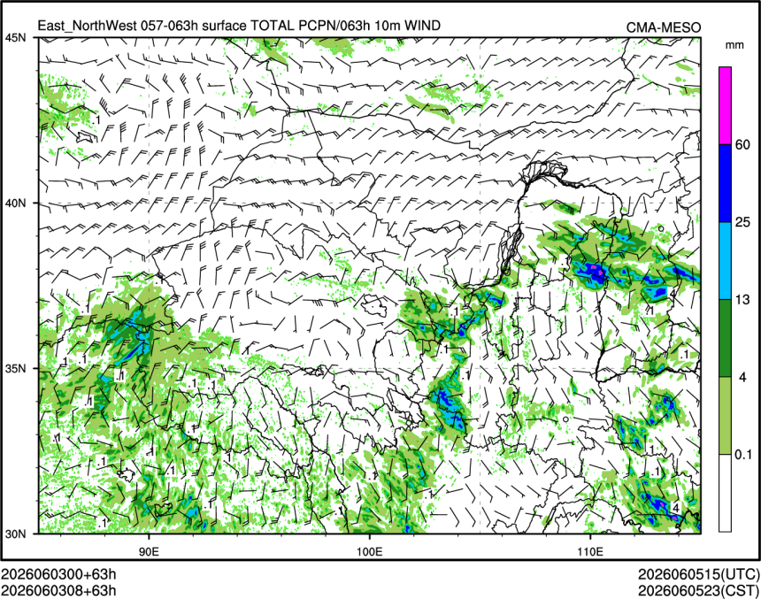 06/03 08时 +063小时