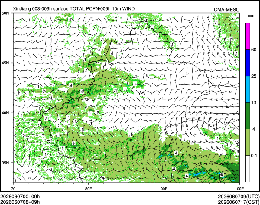 06/07 08时 +009小时